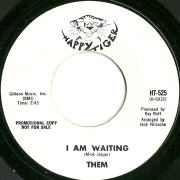 Them - I Am Waiting - Happy Tiger 525